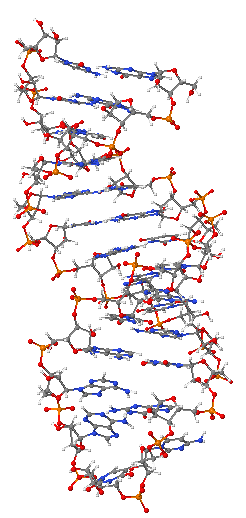 Pre-mRNA-1ysv