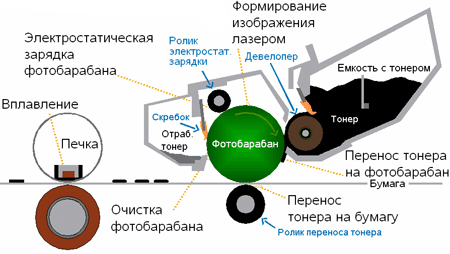 В принтерах используется электрографический принцип создания изображения
