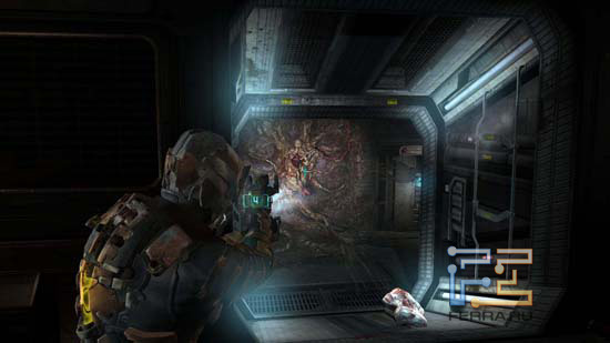 Найдите образцы днк dead space