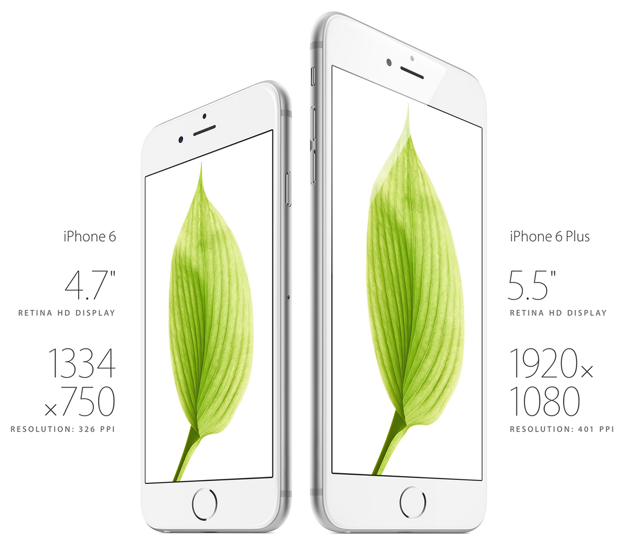 Apple iPhone 6, iPhone 6 Plus. Предварительный обзор и первые впечатления —  Ferra.ru