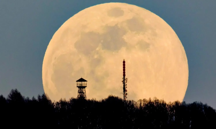 Лунное и солнечное затмения, четыре звездопада: свидетелями каких космических явлений станут россияне в 2022 году