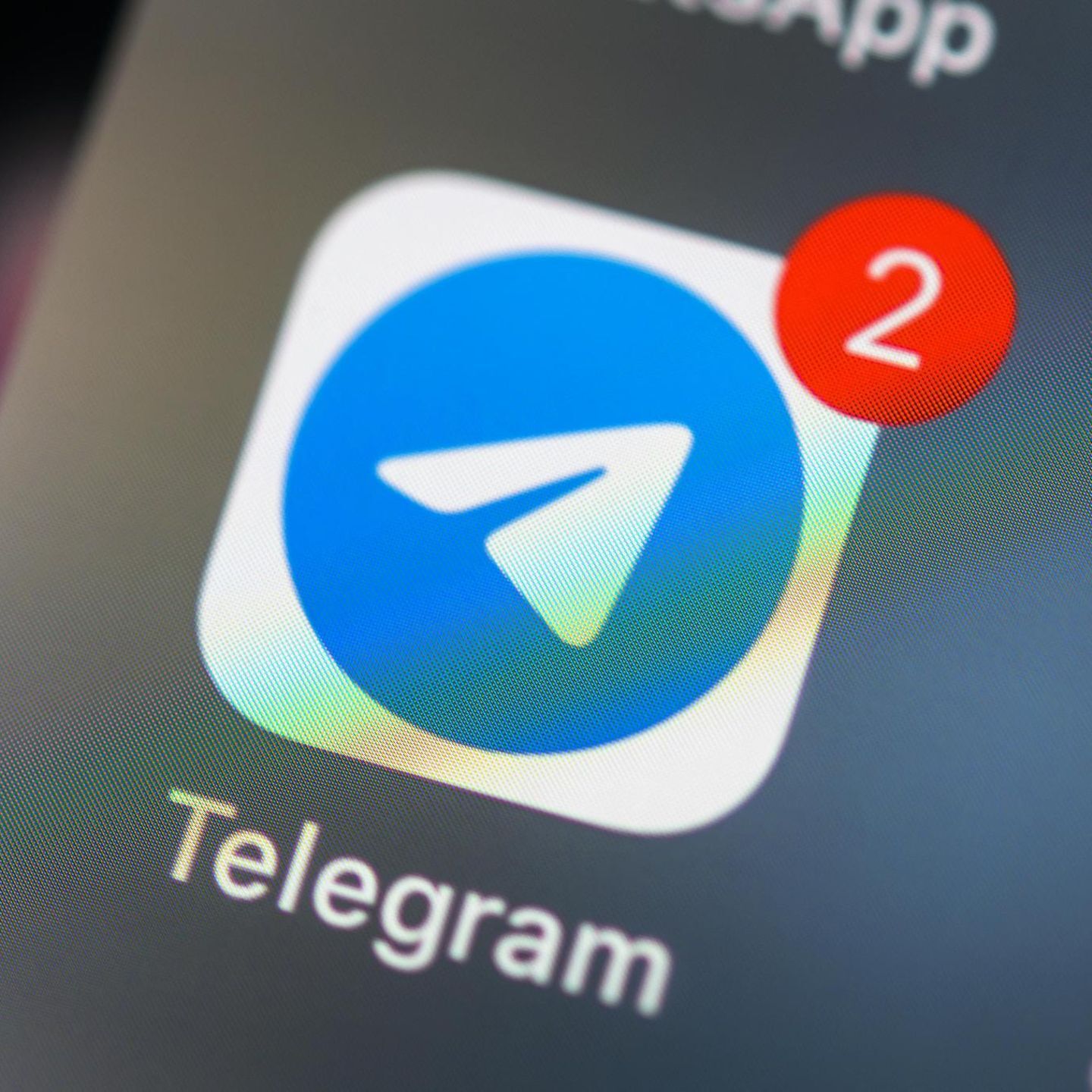 Telegram начал сотрудничать с Google? Мессенджер заподозрили в передаче данных корпорации