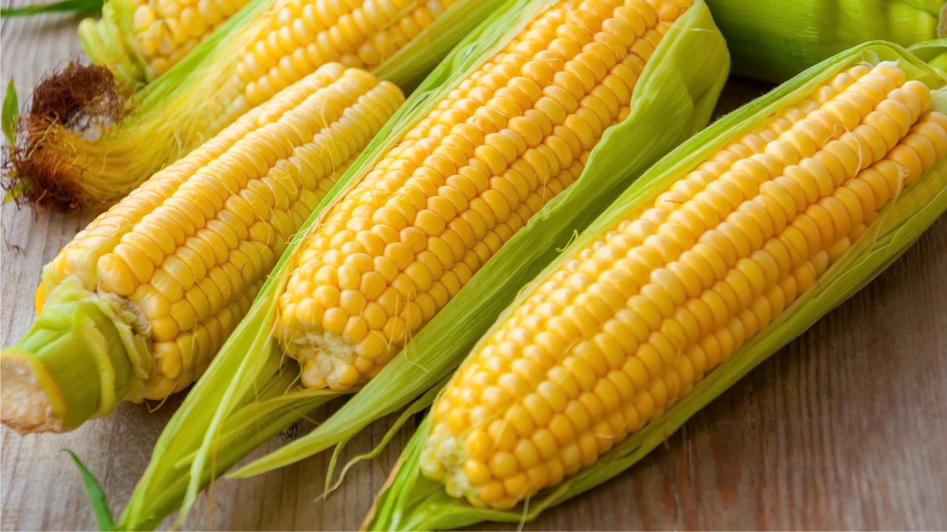 Врач объяснил, как часто можно есть кукурузу без вреда для здоровья