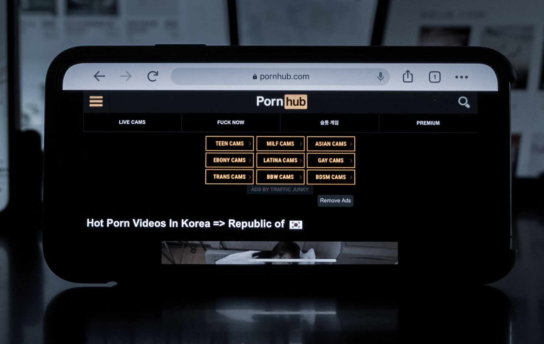 Даже расслабиться спокойно уже нельзя: Pornhub обвинили в шпионаже за  пользователями — Ferra.ru