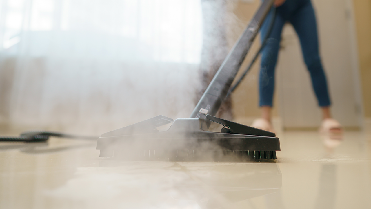 электрошвабра steam cleaner фото 119