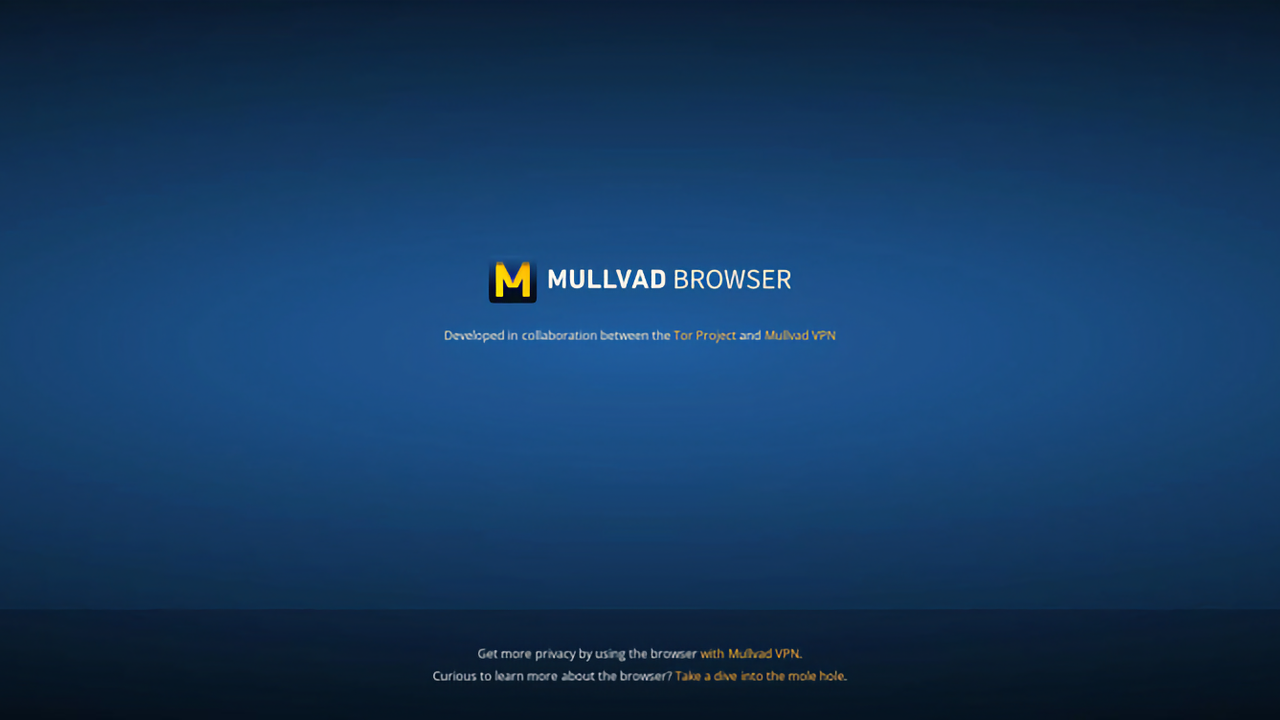 Создатели Tor анонсировали новый анонимный браузер Mullvad Browser —  Ferra.ru