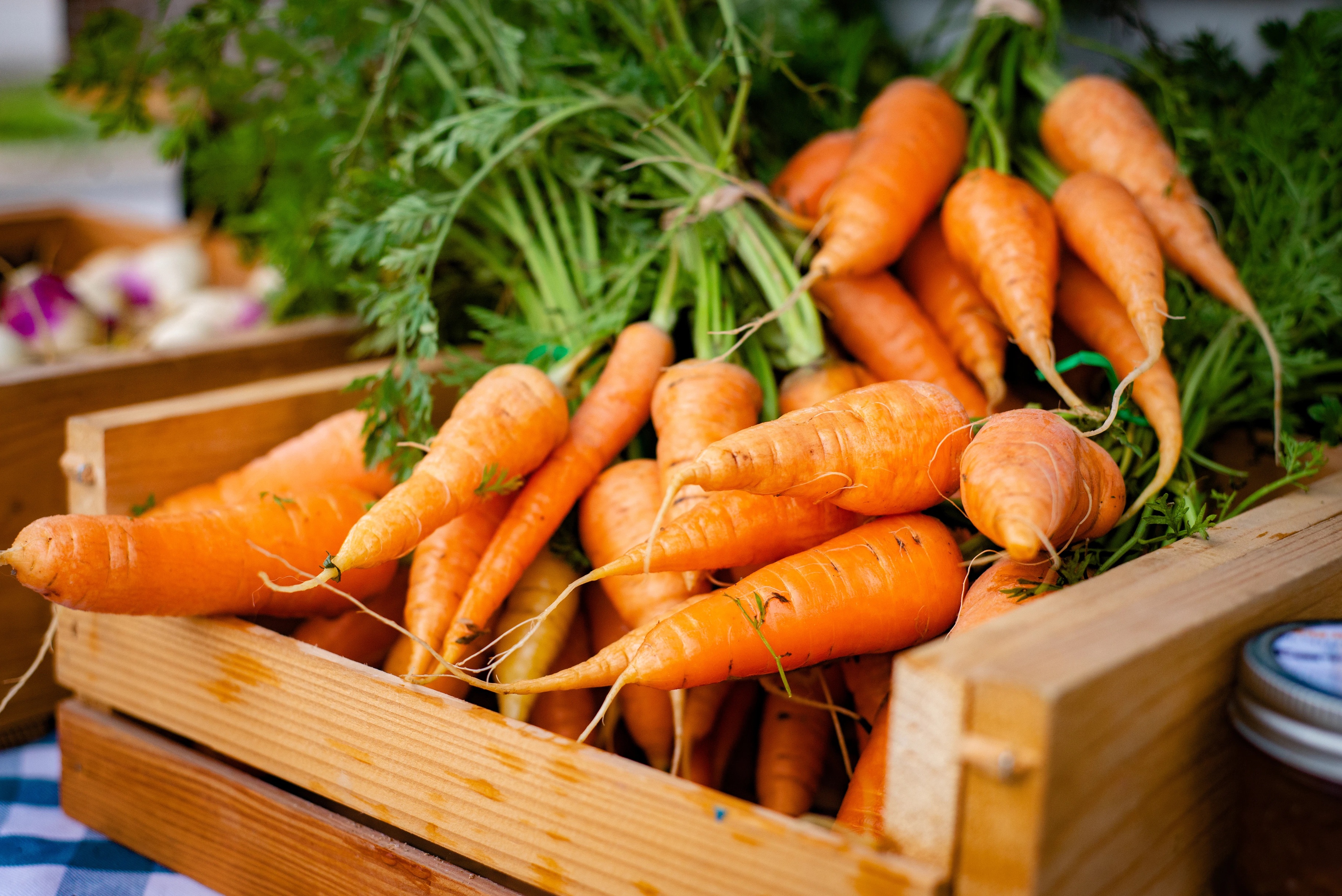 Специалисты объяснили, почему морковь — оранжевая