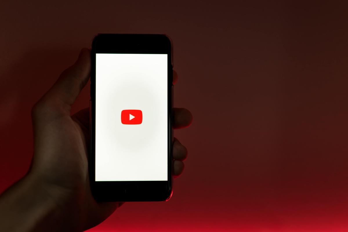 YouTube начал блокировать видео с постановочными спасениями животных —  Ferra.ru