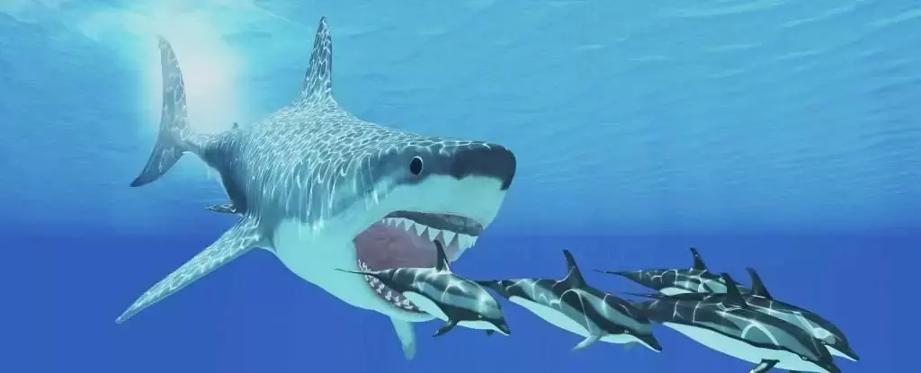 Древние гигантские акулы иногда получали по зубам от своей добычи
