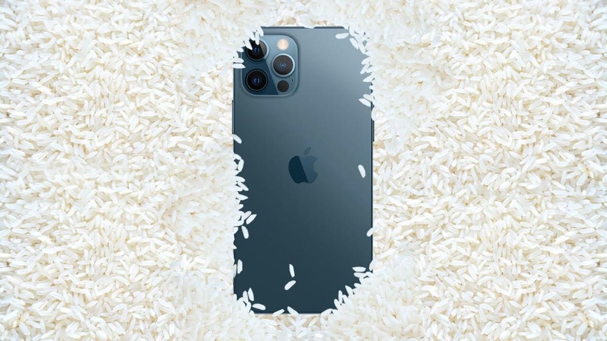 Эксперты: рис не спасёт утопленный iPhone — Ferra.ru