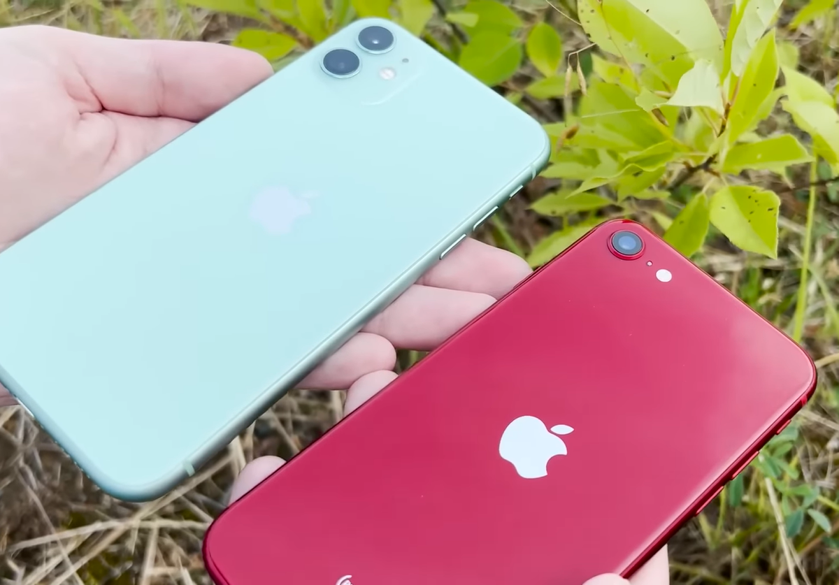 iPhone 11 против iPhone SE 2022: какой лучше за свои деньги — Ferra.ru