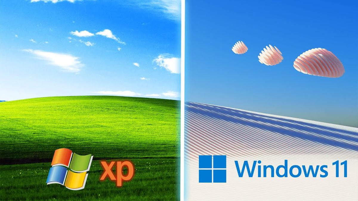 Windows XP или Windows 11: какая ОС больше шпионит за пользователями —  Ferra.ru