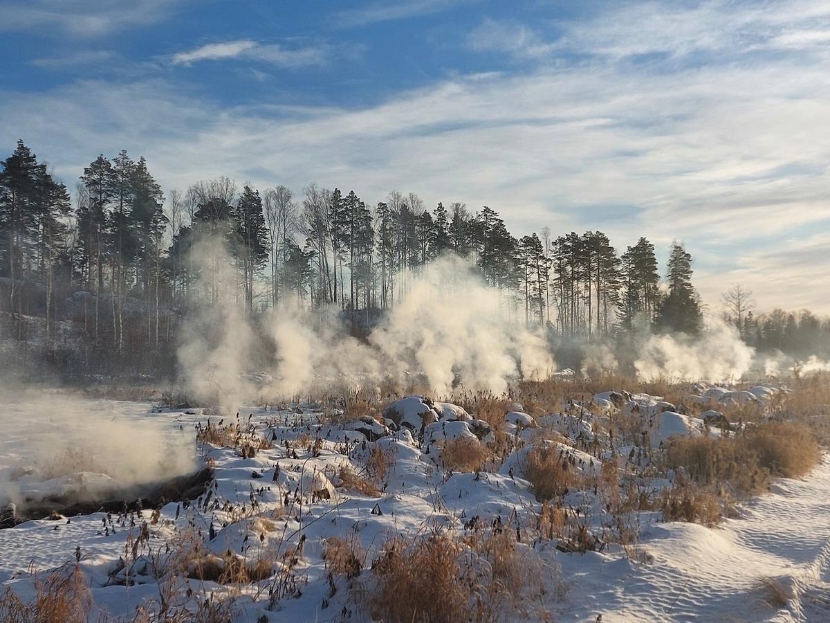 Уральские ученые предложили способ тушить «зомби-пожары» — Ferra.ru