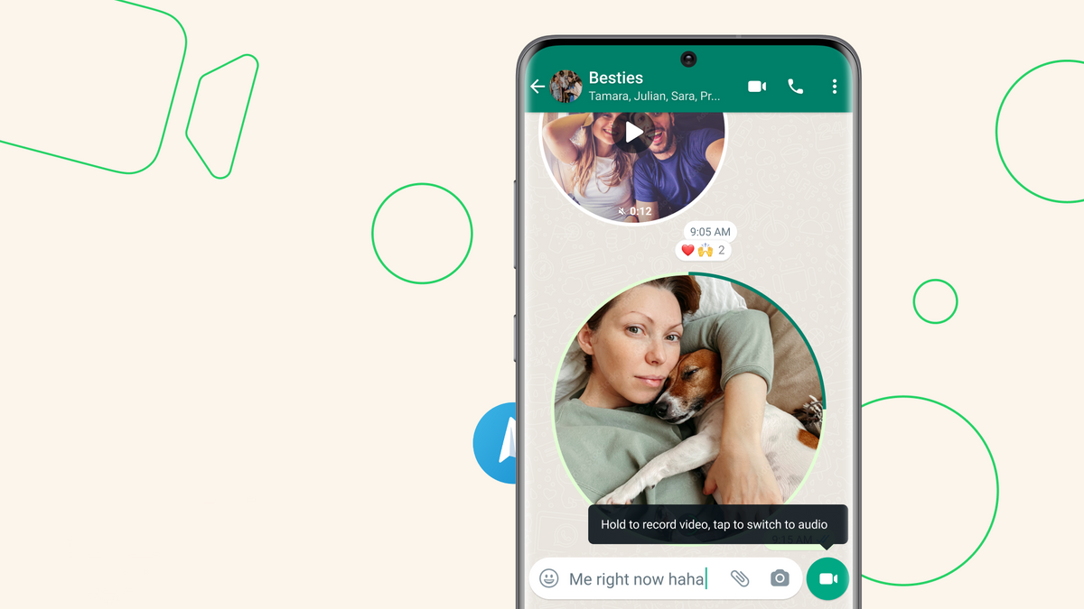 Те самые «кружочки» из Telegram появились уже в WhatsApp* — Ferra.ru