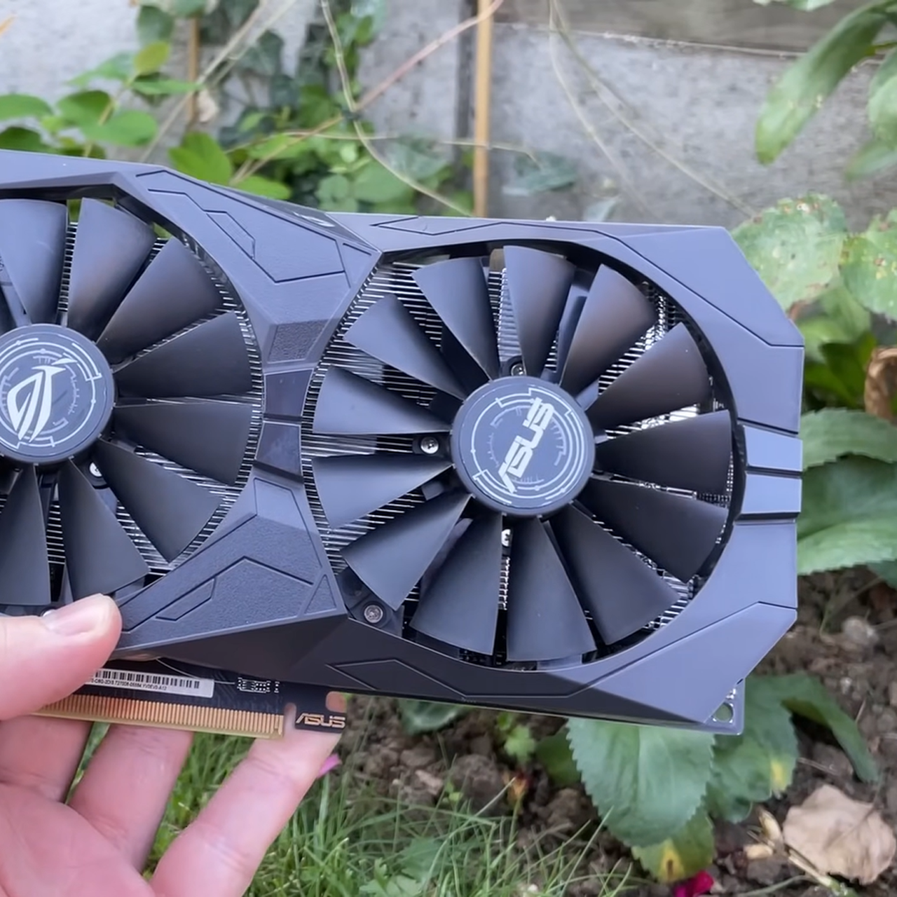 Сгодится ли Radeon RX 570 для игр в 1440p на низкой, высокой или средней  детализации графики — Ferra.ru