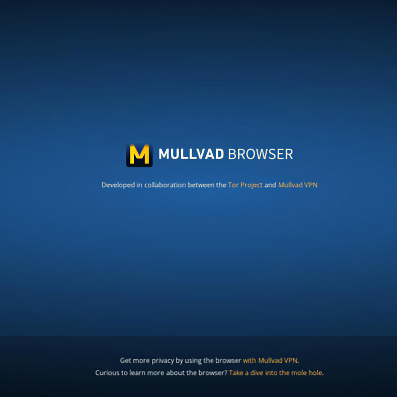 Создатели Tor анонсировали новый анонимный браузер Mullvad Browser —  Ferra.ru