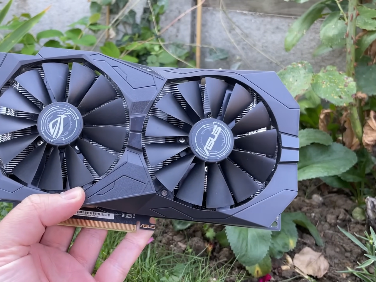 Сгодится ли Radeon RX 570 для игр в 1440p на низкой, высокой или средней  детализации графики — Ferra.ru