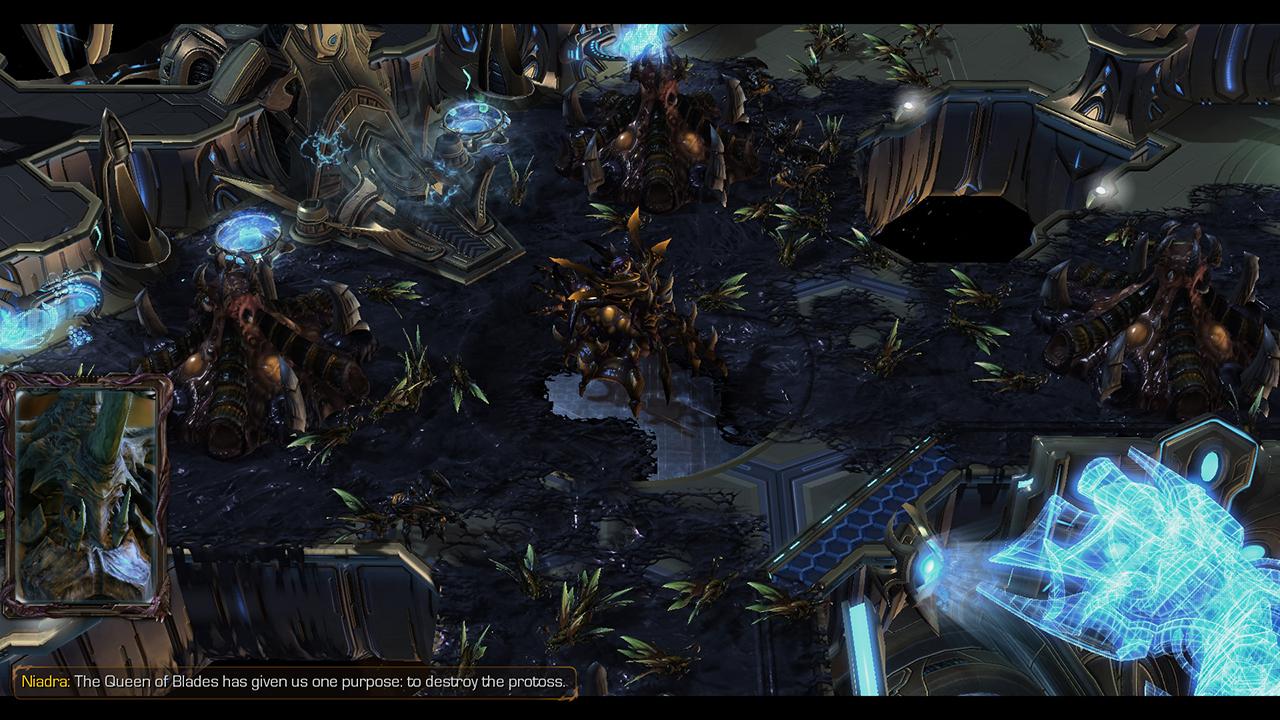 Зерг гут: обзор игры StarCraft II: Heart of the Swarm — Ferra.ru